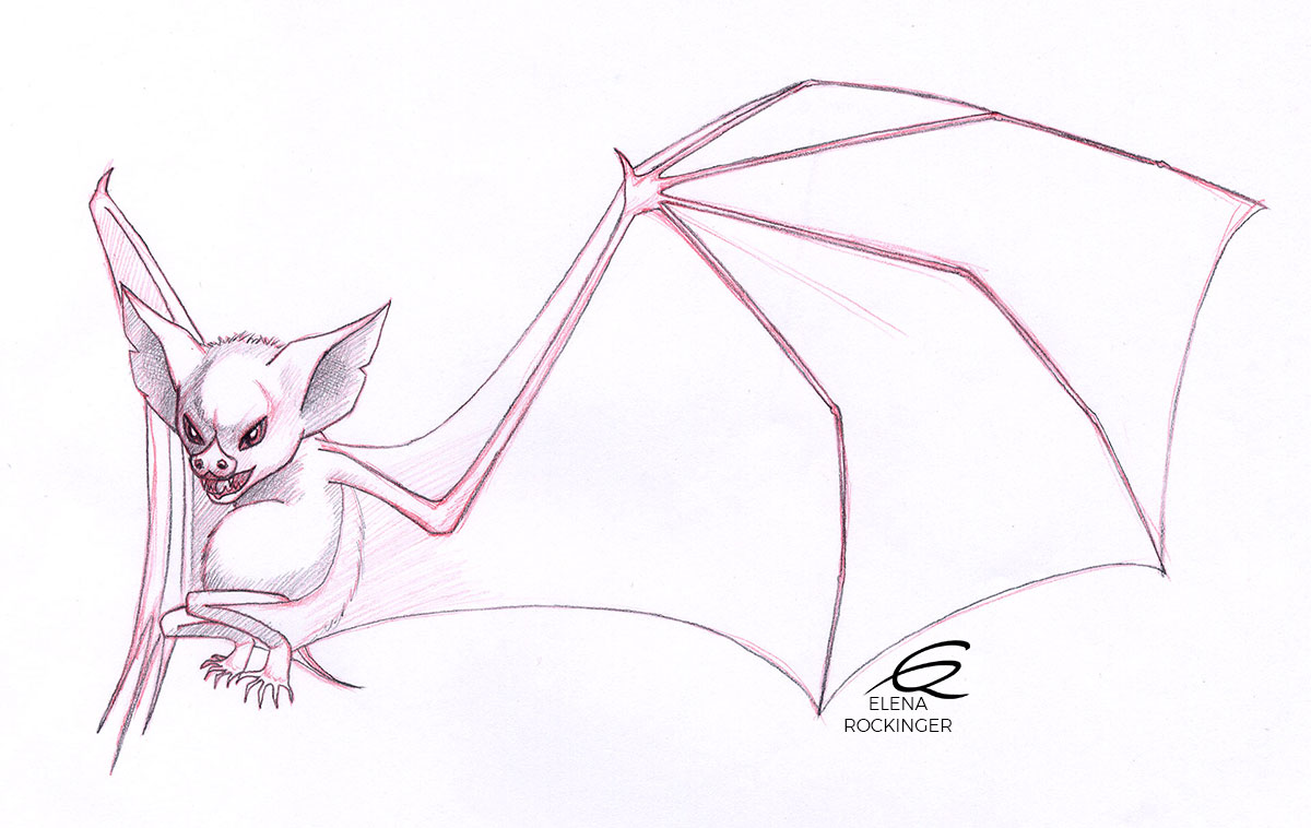 01 Illustration Mascot Elena Rockinger Bat 01 S