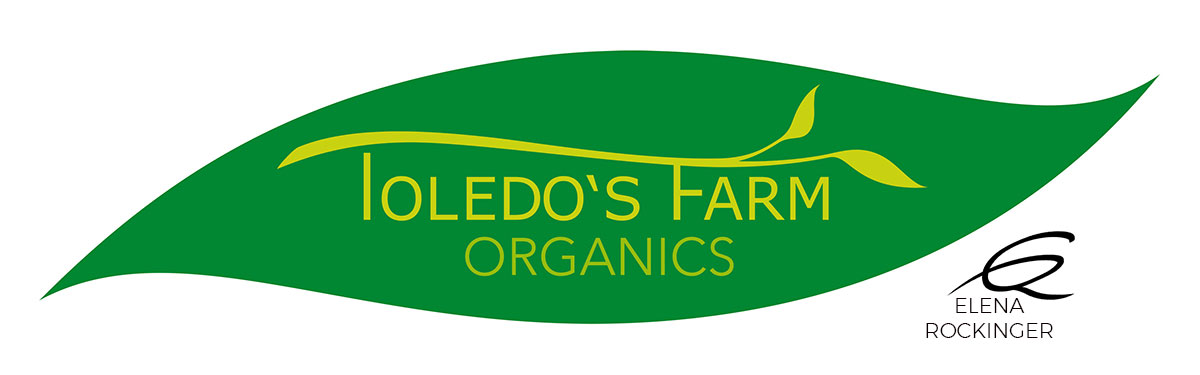 05 Logo Design Elena Rockinger Toledo Organics S