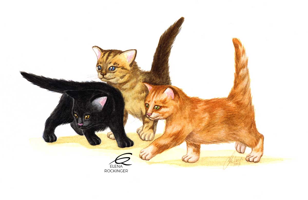 07 Illustration Kids Water Colour Elena Rockinger Kittens S