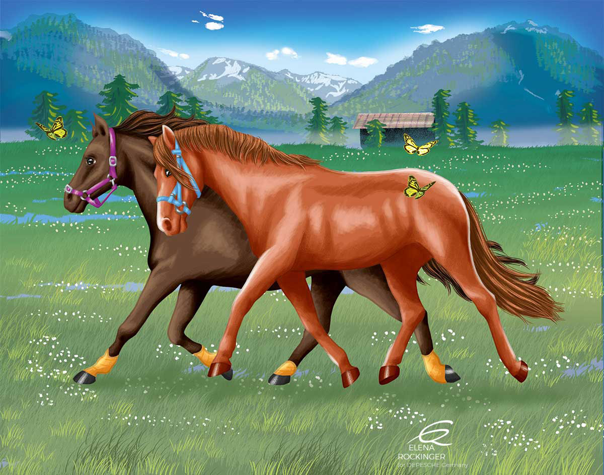 12 Illustration Horse Colouring Book Elena Rockinger 12 S