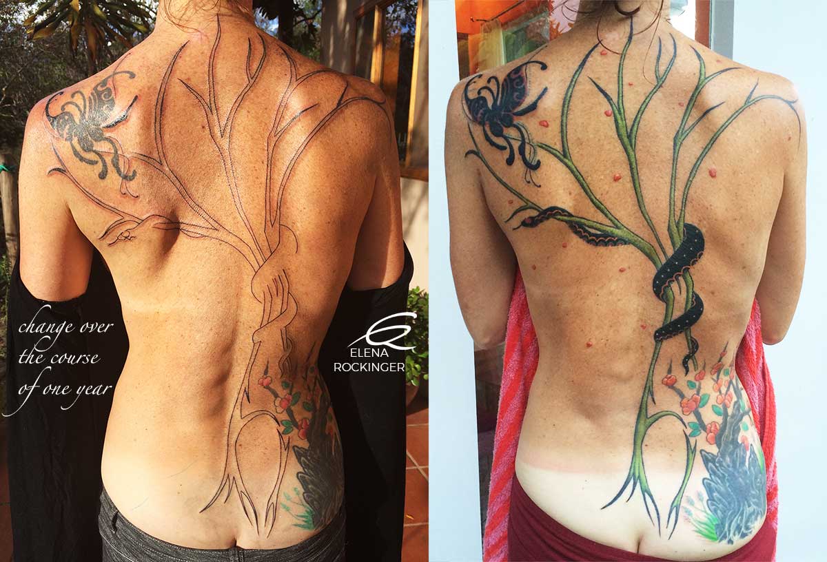 23b Tattoo Back Tree Snake Butterfly Elena Rockinger S